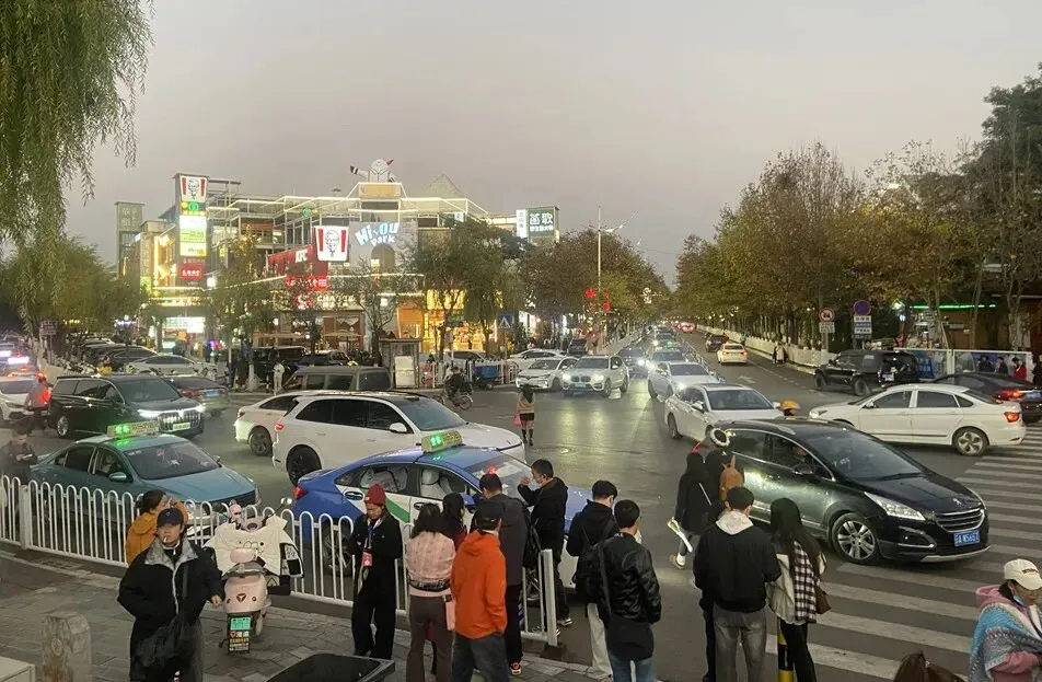 去斗南湿地和花卉市场闲逛,在昆明我学会了放松