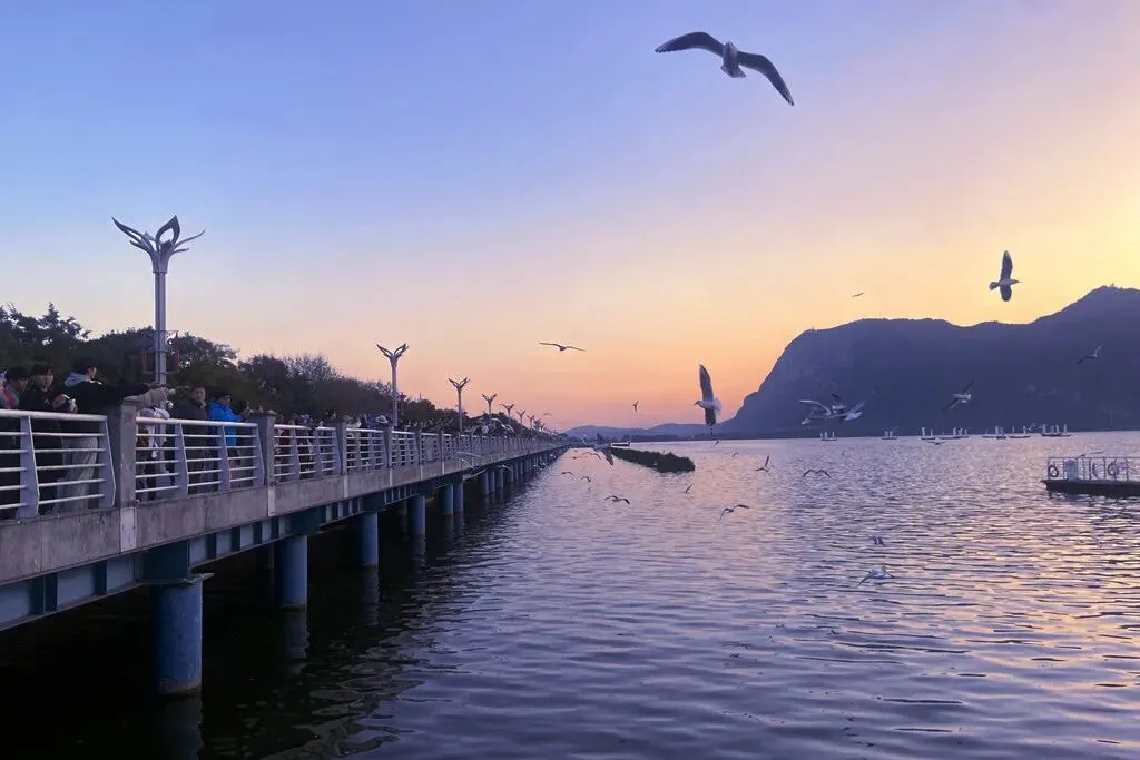 去斗南湿地和花卉市场闲逛,在昆明我学会了放松