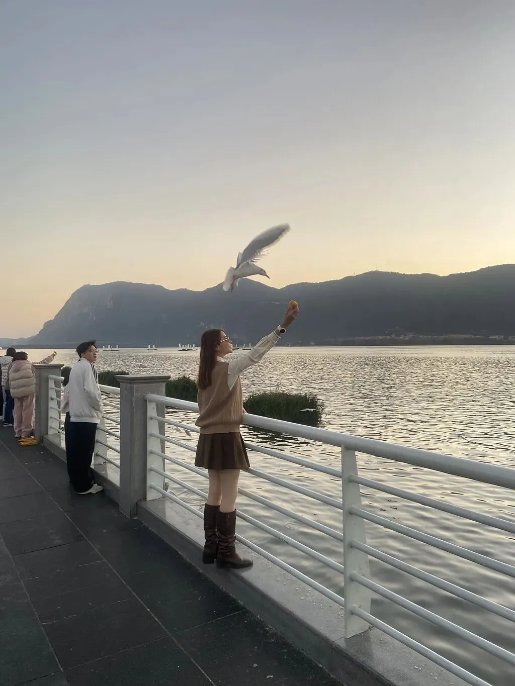 去斗南湿地和花卉市场闲逛,在昆明我学会了放松