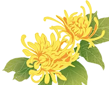 从江县市场监管局开展春季校园食品安全培训