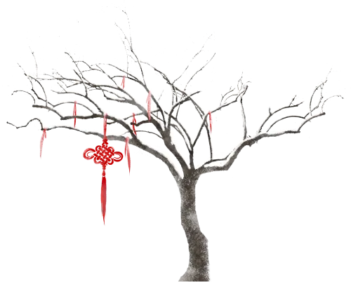 500亿短剧市场,被一群退休大爷大妈撑起了半边天