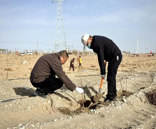 【工作动态】金塔县市场监督管理局工作周报第十一期