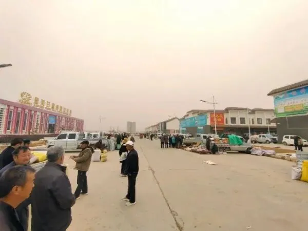 2026年4月19日文峰康美中药材市场快讯