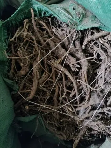 2026年4月19日文峰康美中药材市场快讯