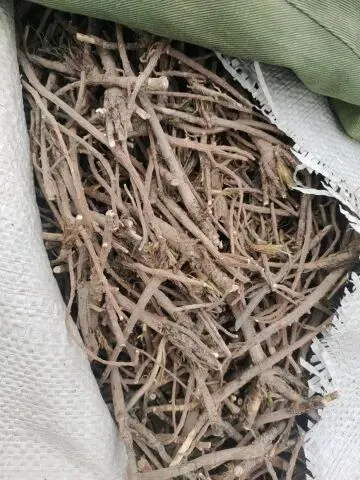 2026年4月19日文峰康美中药材市场快讯