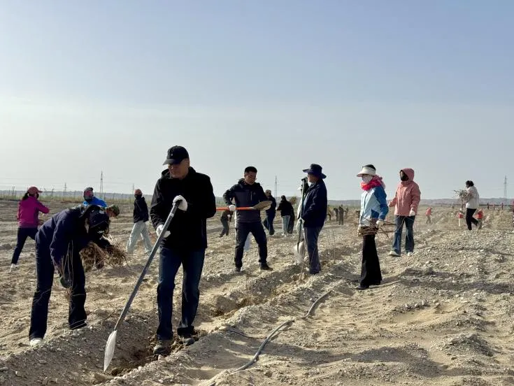 【工作动态】金塔县市场监督管理局工作周报第十一期