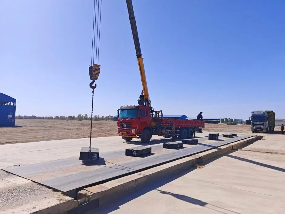 【工作动态】金塔县市场监督管理局工作周报第十一期