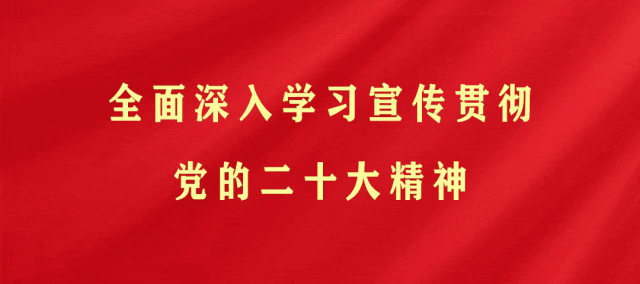 文县市场监管局一周工作动态
