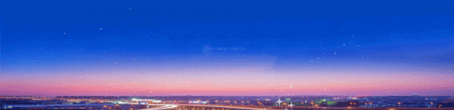 新、奇、特、酷:在消博会上触摸消费市场新风向