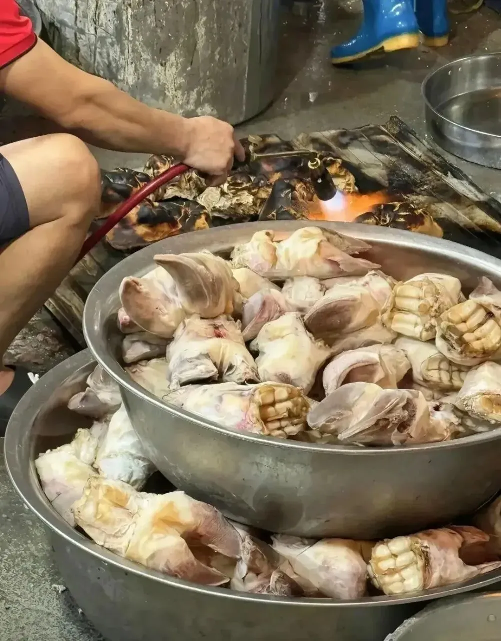 在佛山,开在耕牛市场旁,食材新鲜!手抓牛蹄、牛骨头必点