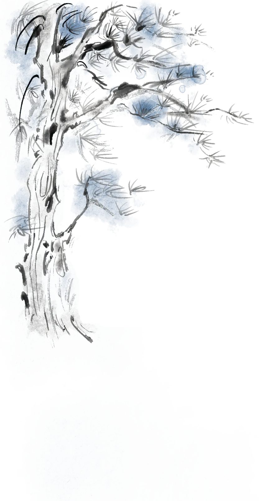 临泽:强化农资市场监管 护航春耕生产安全