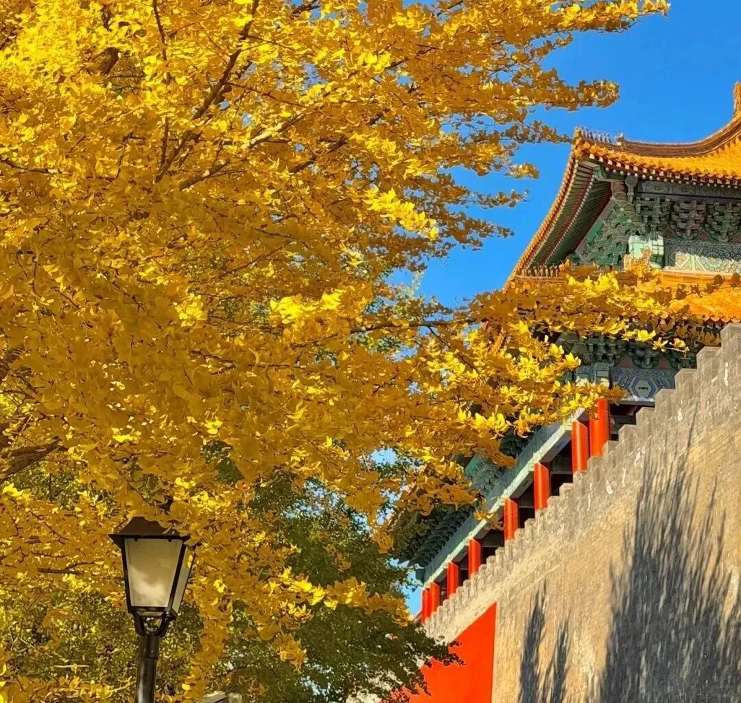 市场到底谁说了算?卖家?买家?还是政策?