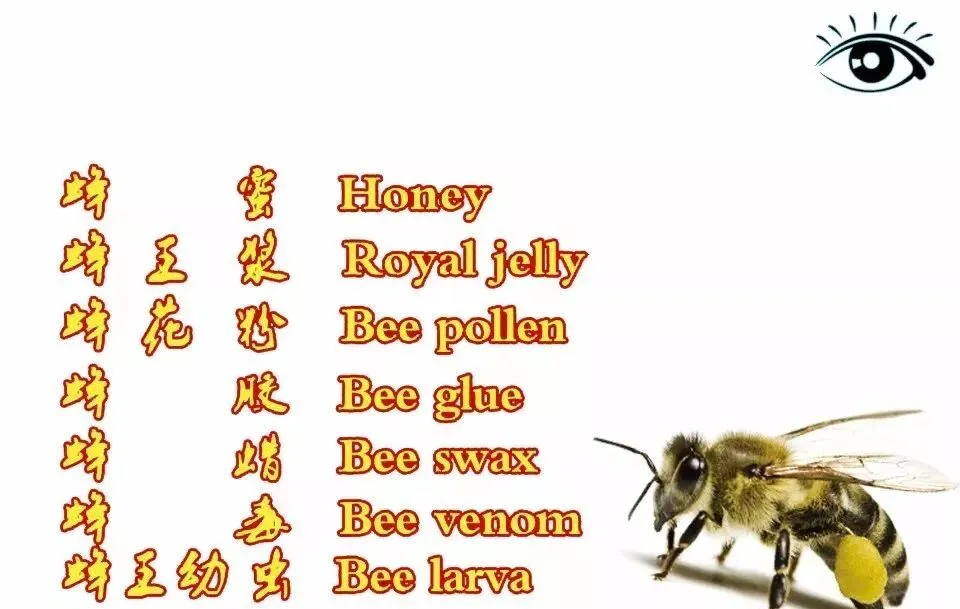 朱子小白说公司获客业务落地实操