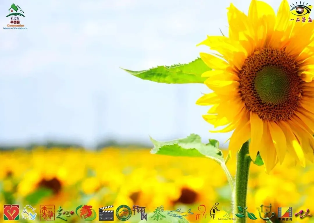 朱子小白说公司获客业务落地实操