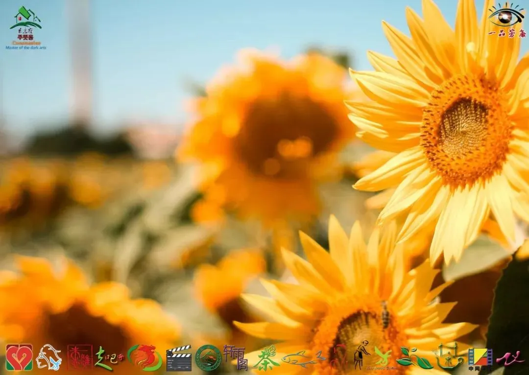 朱子小白说公司获客业务落地实操