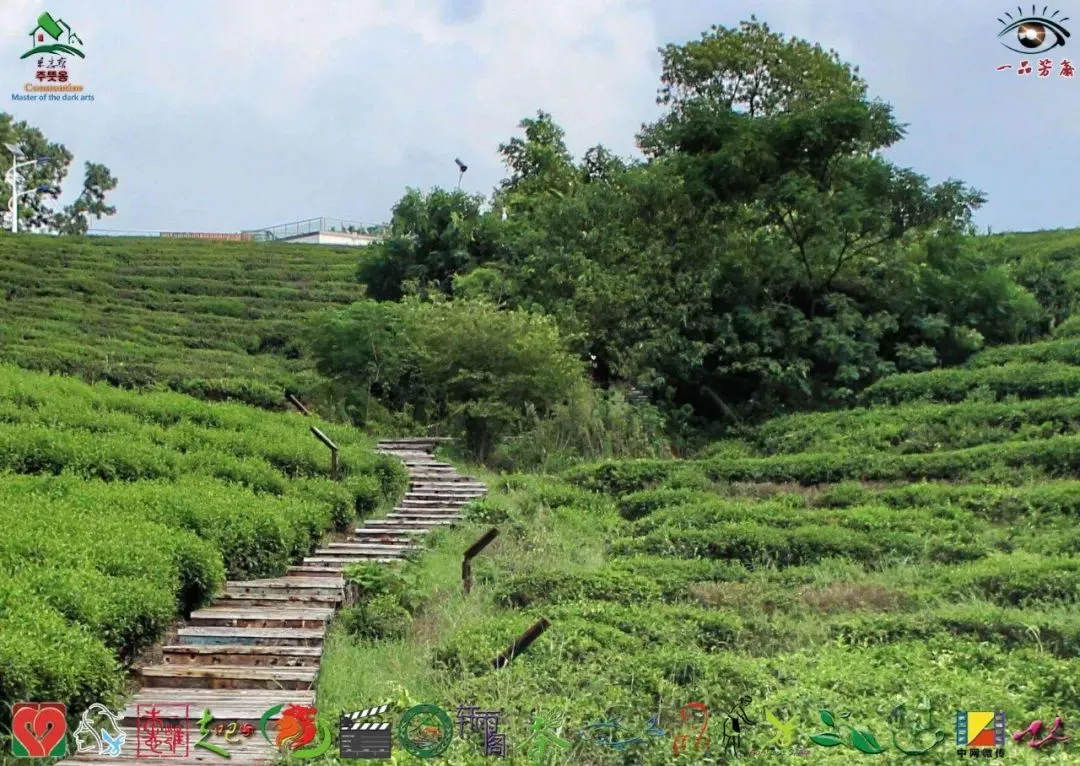 朱子小白说公司获客业务落地实操