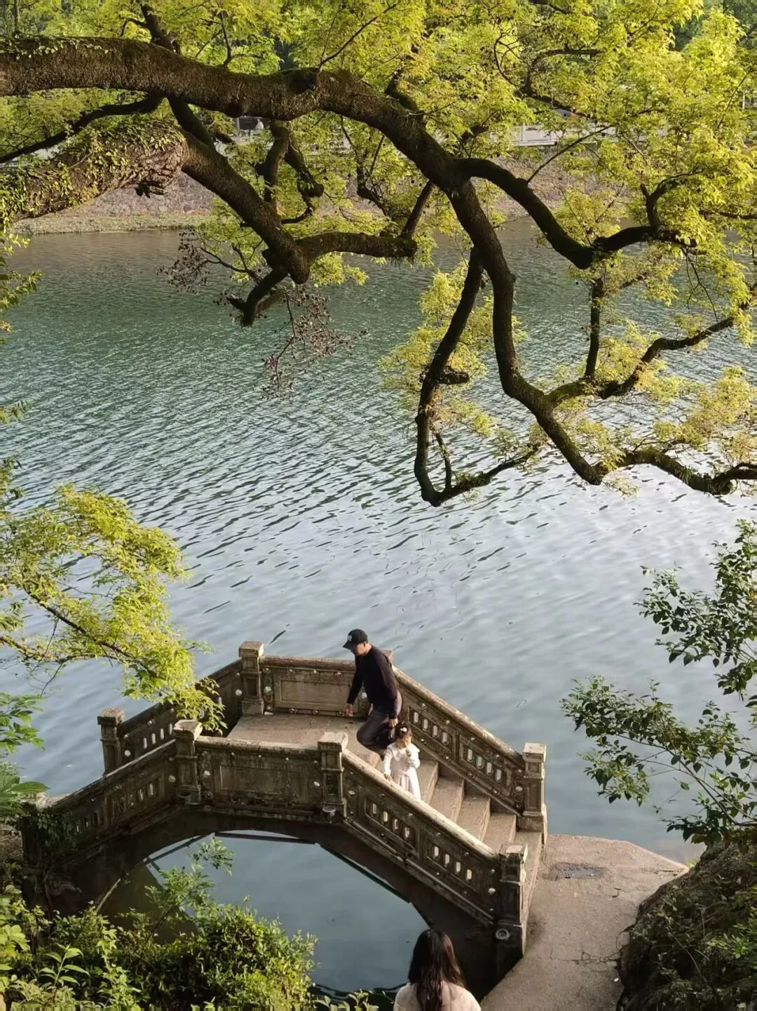 深耕完美事业:以初心筑团队,以格局拓市场