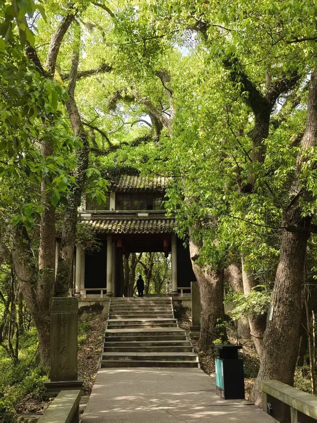 深耕完美事业:以初心筑团队,以格局拓市场