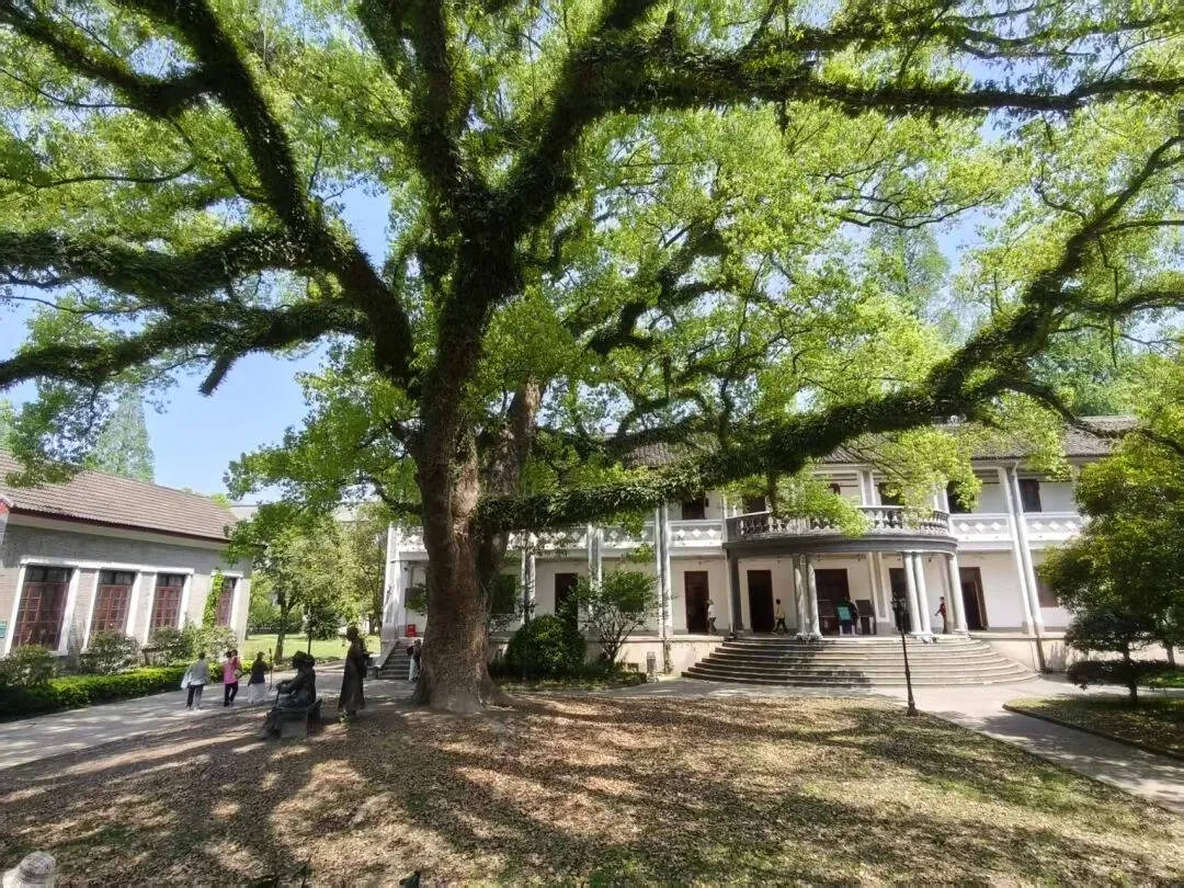 深耕完美事业:以初心筑团队,以格局拓市场