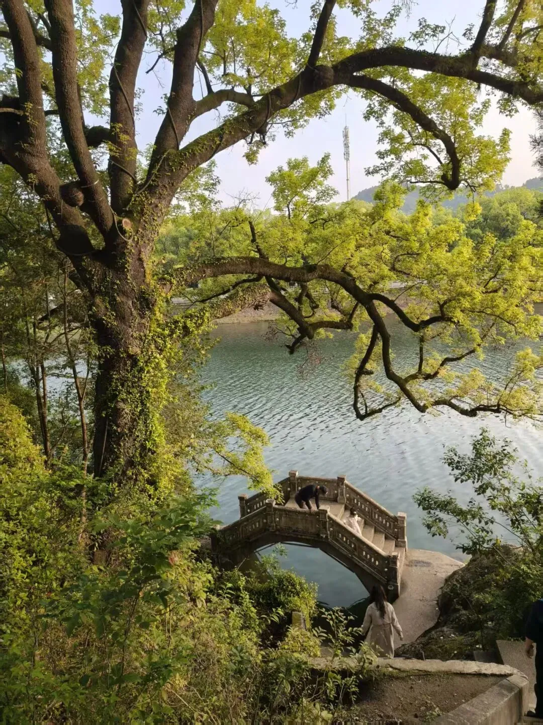 深耕完美事业:以初心筑团队,以格局拓市场