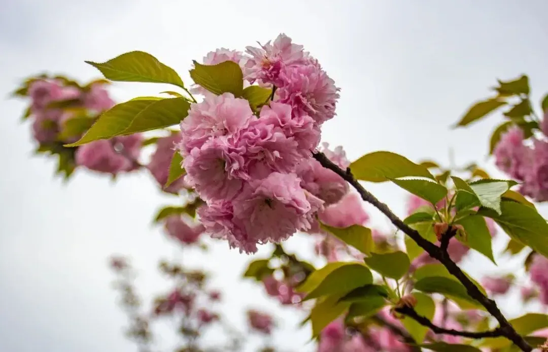 文旅营销如何从＂烧钱＂变＂赚钱＂?