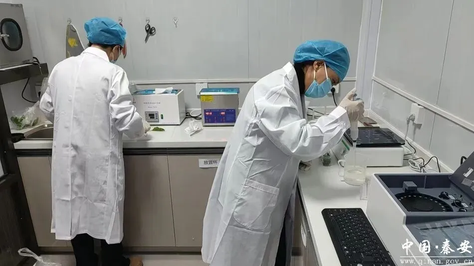 秦安县扎实开展市场综合整治提升行动