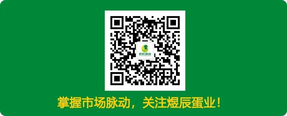 2026.04.19馆陶县金凤市场煜辰蛋业最新鸡蛋价格