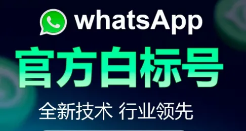 WhatsApp营销频繁封号?2026全新“白标号”技术,彻底告别封号烦恼!