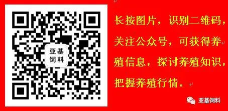 2026年4月19日 河北馆陶金凤市场鸡蛋参考价格