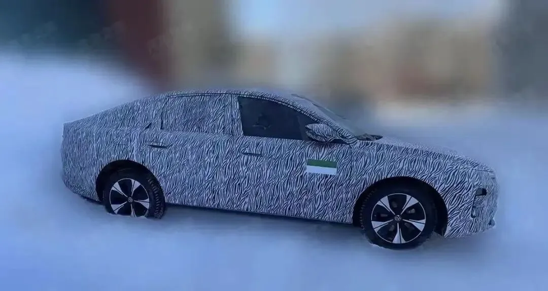 中国电动车市场的现实与欧洲“放弃论”的真相