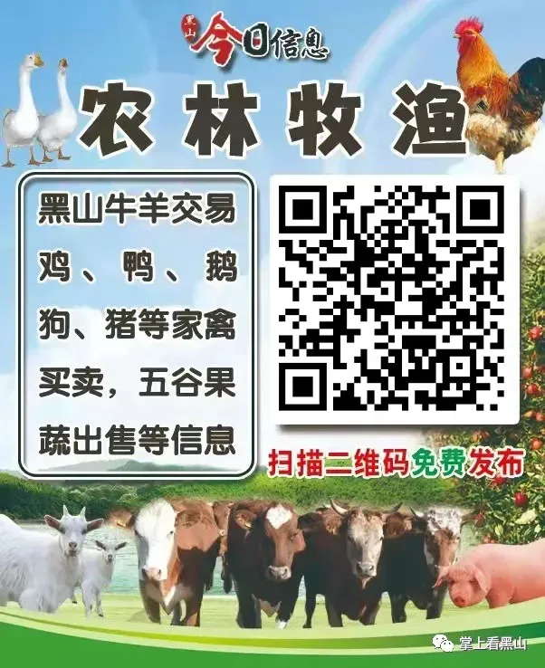 黑山县 丨 二手市场丨农林牧渔