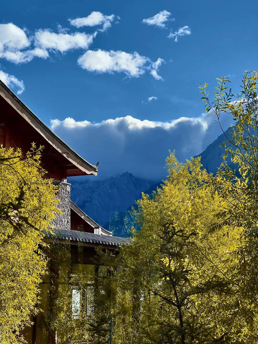 环保消费避坑|别让 “绿色营销” 掏空你的钱包