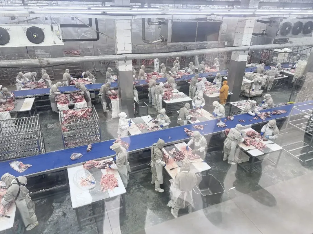 巴山肉牛协会赴渝考察屠宰市场 产销对接助推产业提质增效