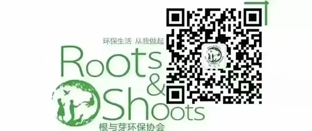 环保消费避坑|别让 “绿色营销” 掏空你的钱包