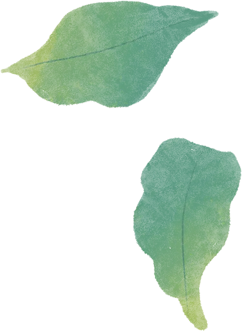 中高端服装品牌内容营销策略实训报告