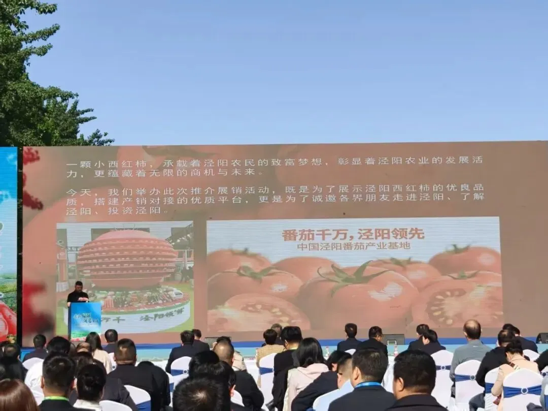 新生活农贸市场应邀参加“番茄领鲜,陕亮生活”农产品产销对接活动