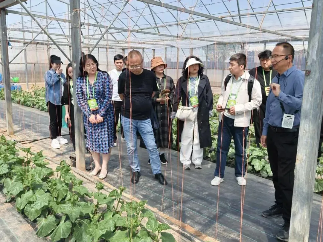 新生活农贸市场应邀参加“番茄领鲜,陕亮生活”农产品产销对接活动