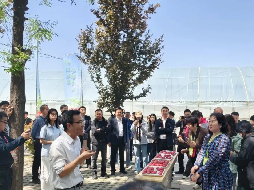 新生活农贸市场应邀参加“番茄领鲜,陕亮生活”农产品产销对接活动