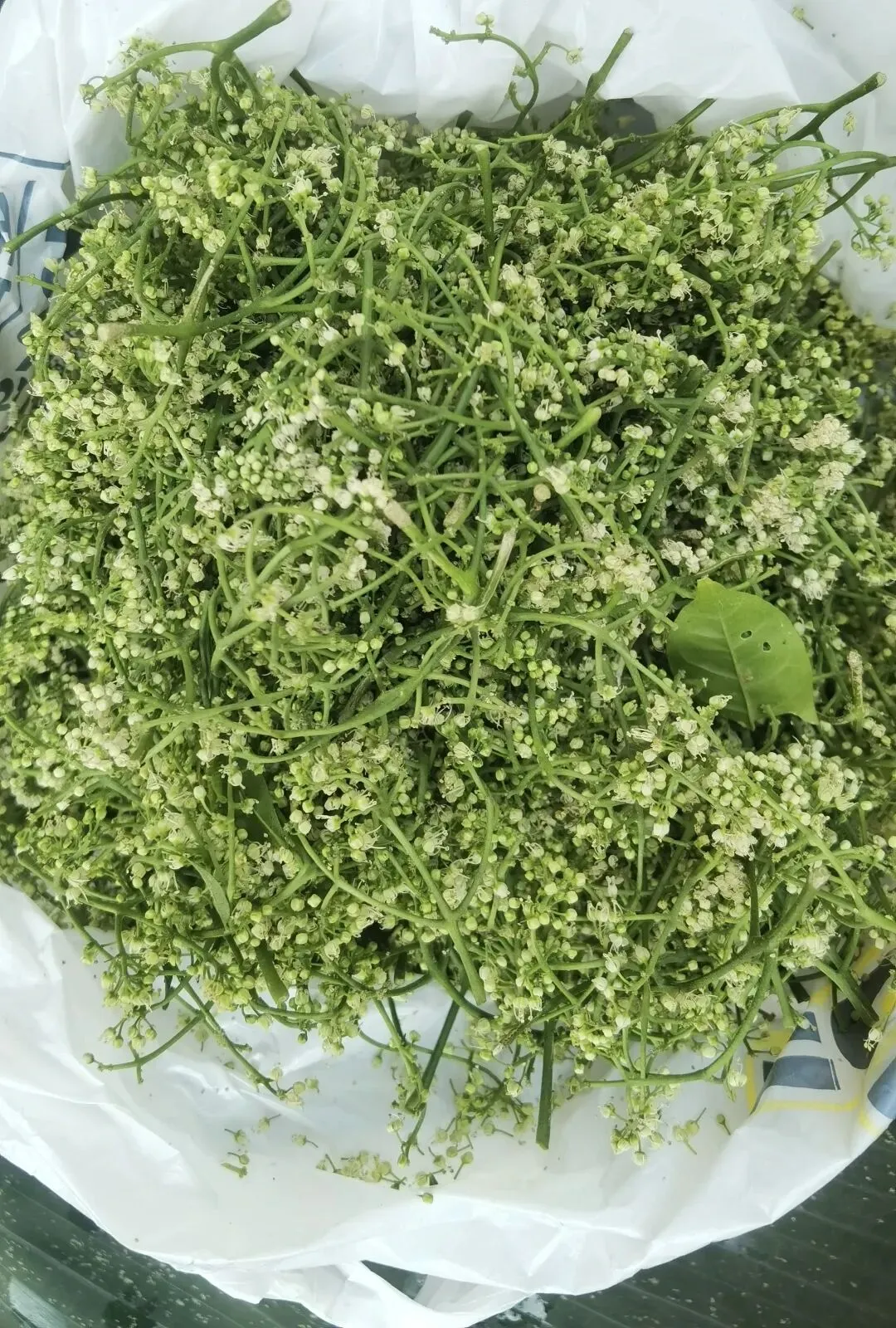 走,逛沧源农贸市场去(之四)