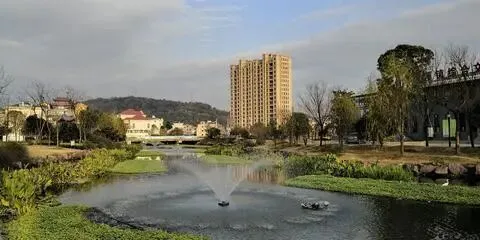 手机圈爆出大瓜!华为夺冠市场份额20%,苹果暴涨42%成最大赢家?小米暴跌35%跌至第五!