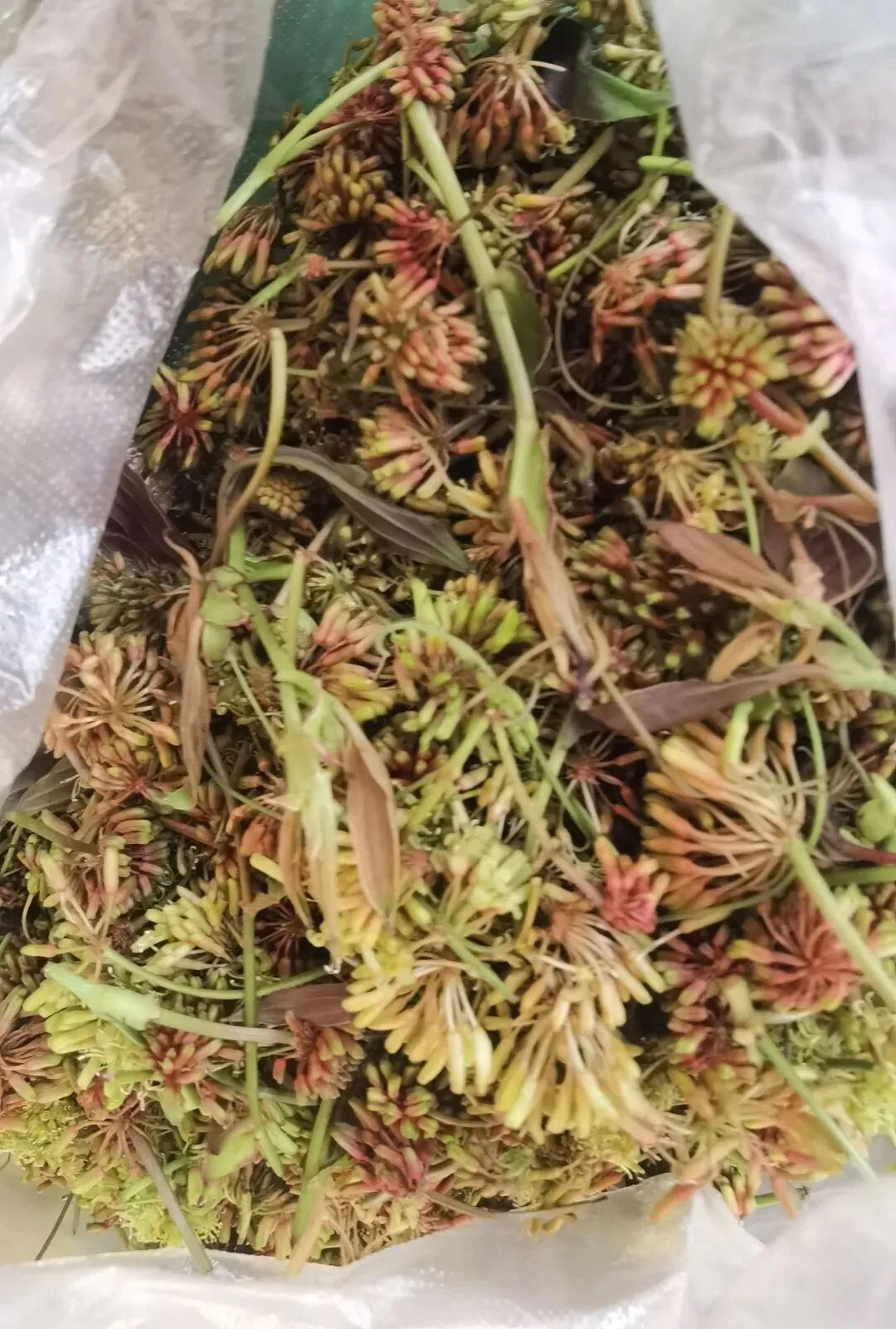 走,逛沧源农贸市场去(之四)