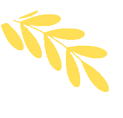 萌娃出摊啦!寻甸“书香市集”跳蚤市场欢乐爆棚