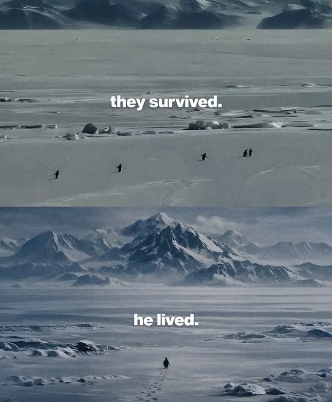 全球营销专栏丨从“拳击猴”到企鹅:为什么社交媒体总在追逐新的Meme?