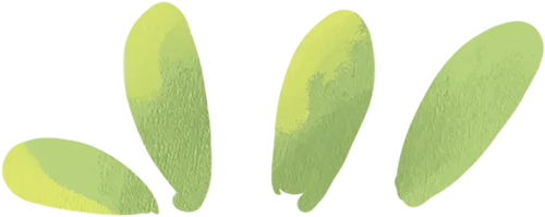 食品学院师生在首届大学生葡果酒营销创新大赛中荣获佳绩!