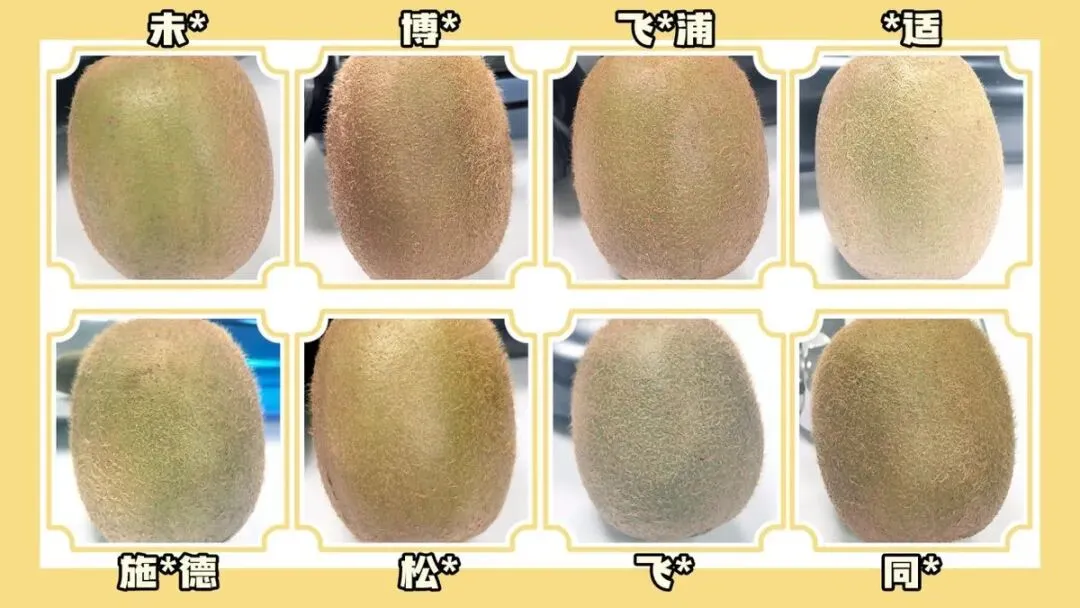 剃须刀哪个牌子的好?8大好用款测评戳破营销泡沫,直接抄作业