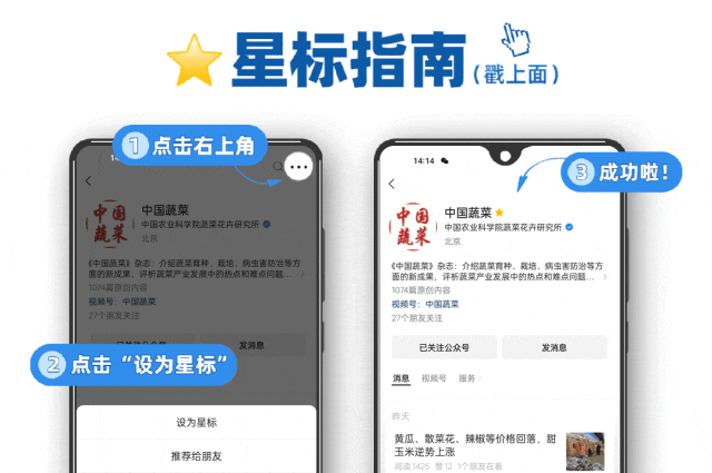 莴笋冲击外省市场,豇豆半月降37%:上海江桥市场周报