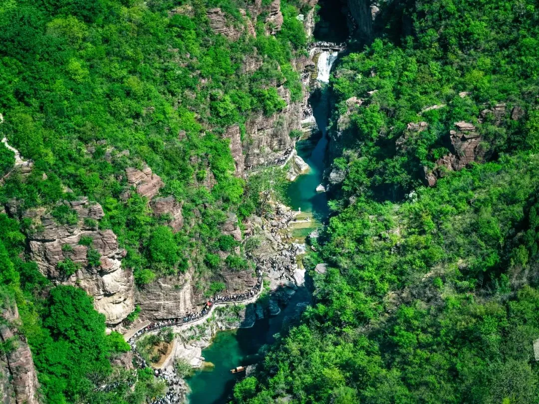 云台山春日市场火爆!再迎千人专列团!