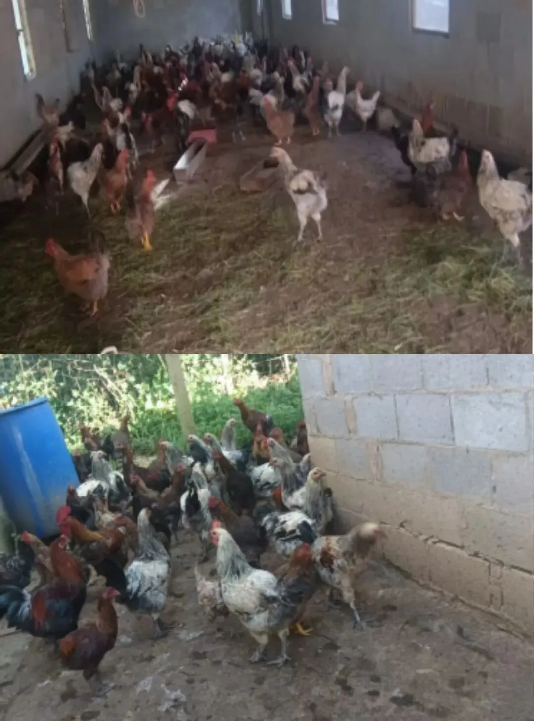 【旺房转租】现有华西农贸市场对面整栋酒店转租,水电齐全,周边基础设施配套成熟,停车方便;接手即可运营.详情点击下方链接….