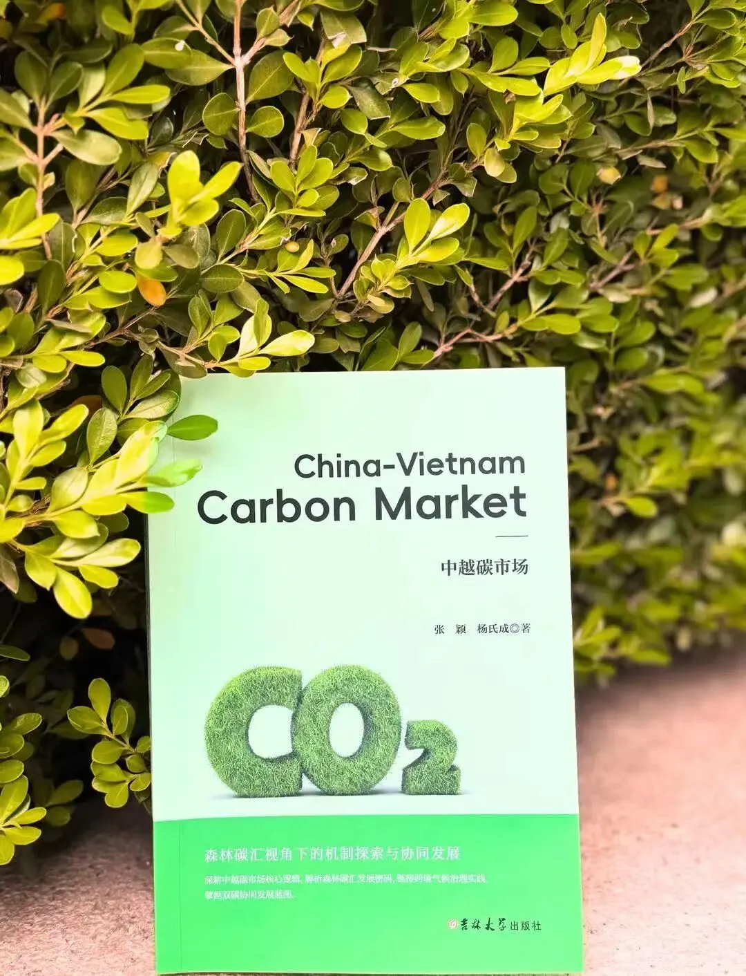 北林大越南籍留学博士生研究中越碳市场出新成果