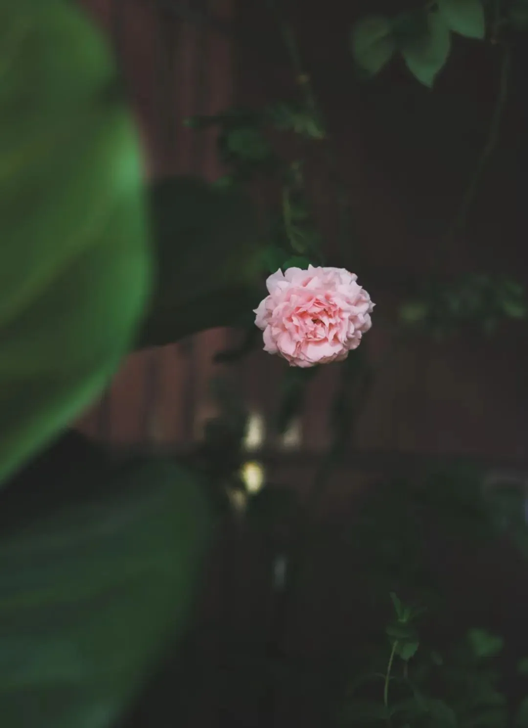 曾经“脱颖而出”的我,后来在市场上没有优势了